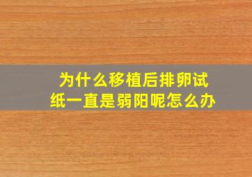 为什么移植后排卵试纸一直是弱阳呢怎么办