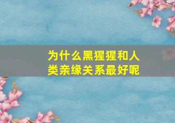 为什么黑猩猩和人类亲缘关系最好呢