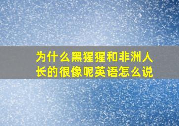 为什么黑猩猩和非洲人长的很像呢英语怎么说