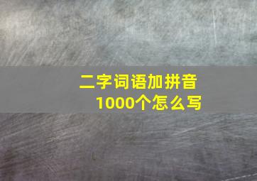 二字词语加拼音1000个怎么写