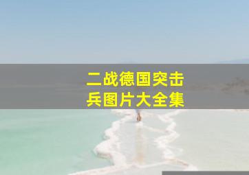 二战德国突击兵图片大全集