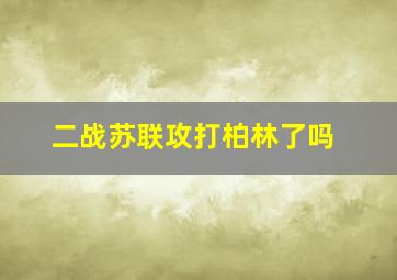 二战苏联攻打柏林了吗