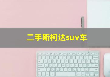 二手斯柯达suv车