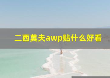 二西莫夫awp贴什么好看