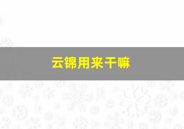 云锦用来干嘛