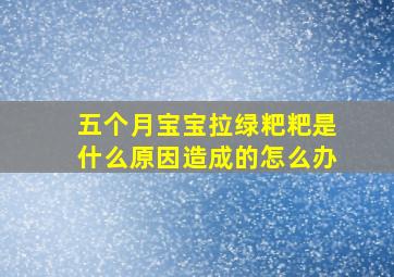 五个月宝宝拉绿粑粑是什么原因造成的怎么办