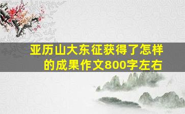 亚历山大东征获得了怎样的成果作文800字左右