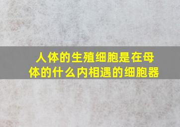 人体的生殖细胞是在母体的什么内相遇的细胞器