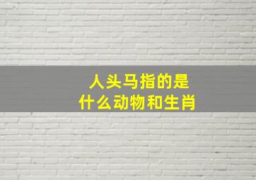 人头马指的是什么动物和生肖