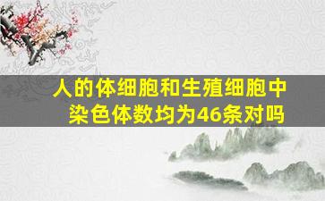 人的体细胞和生殖细胞中染色体数均为46条对吗