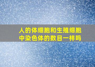 人的体细胞和生殖细胞中染色体的数目一样吗