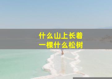 什么山上长着一棵什么松树