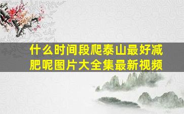 什么时间段爬泰山最好减肥呢图片大全集最新视频