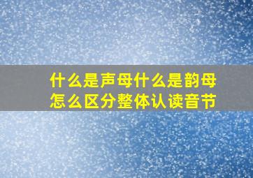 什么是声母什么是韵母怎么区分整体认读音节