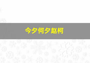 今夕何夕赵柯