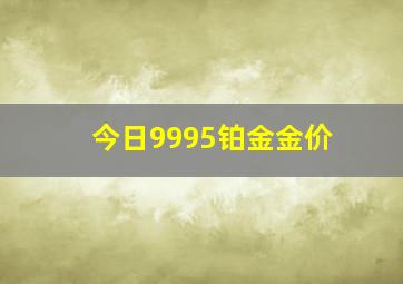 今日9995铂金金价