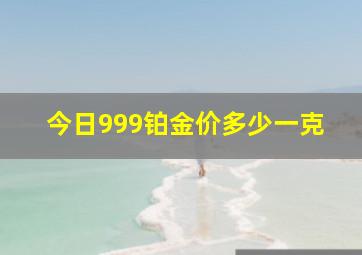 今日999铂金价多少一克