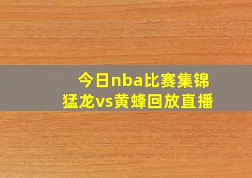 今日nba比赛集锦猛龙vs黄蜂回放直播