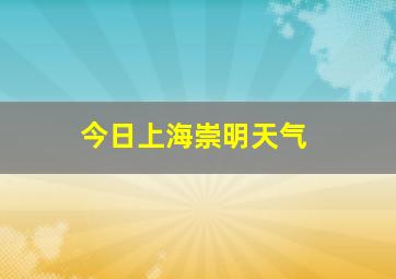 今日上海崇明天气