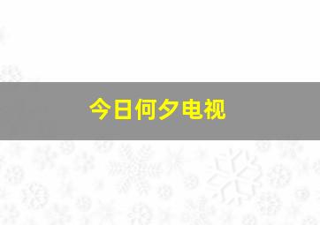 今日何夕电视