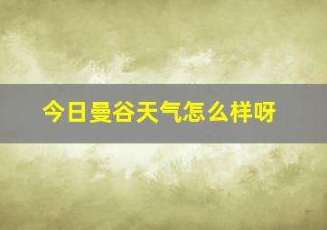 今日曼谷天气怎么样呀