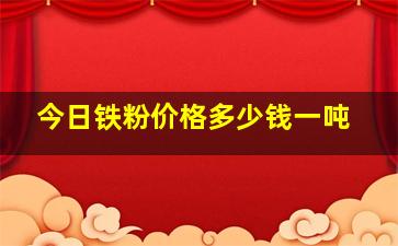 今日铁粉价格多少钱一吨