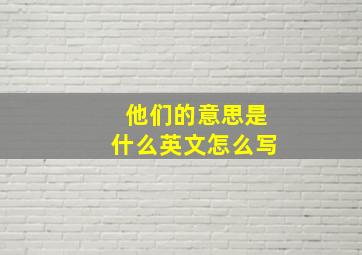 他们的意思是什么英文怎么写