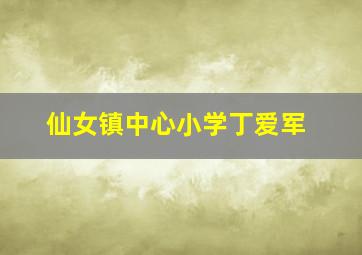 仙女镇中心小学丁爱军