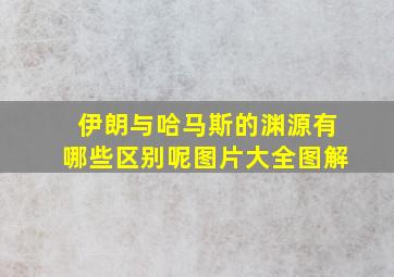 伊朗与哈马斯的渊源有哪些区别呢图片大全图解