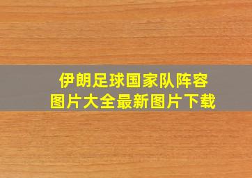 伊朗足球国家队阵容图片大全最新图片下载