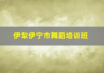 伊犁伊宁市舞蹈培训班