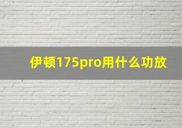 伊顿175pro用什么功放