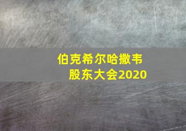 伯克希尔哈撒韦股东大会2020