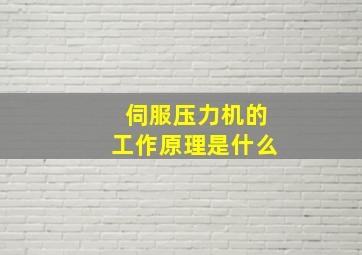 伺服压力机的工作原理是什么