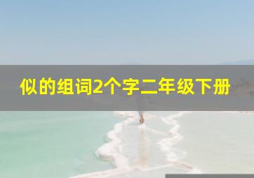 似的组词2个字二年级下册