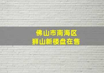 佛山市南海区狮山新楼盘在售