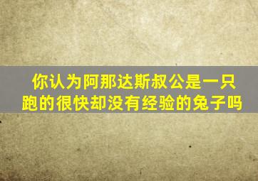 你认为阿那达斯叔公是一只跑的很快却没有经验的兔子吗