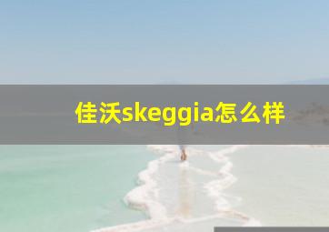 佳沃skeggia怎么样