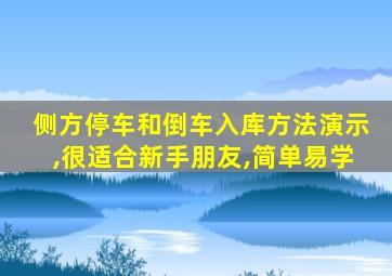 侧方停车和倒车入库方法演示,很适合新手朋友,简单易学