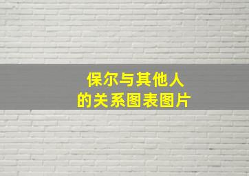 保尔与其他人的关系图表图片