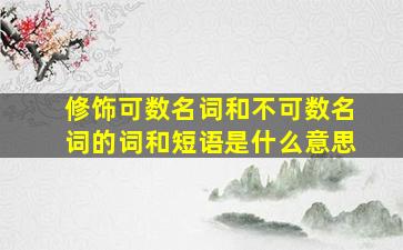 修饰可数名词和不可数名词的词和短语是什么意思