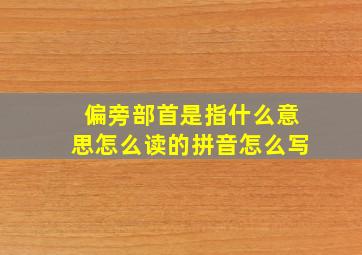 偏旁部首是指什么意思怎么读的拼音怎么写