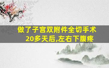 做了子宫双附件全切手术20多天后,左右下腹疼