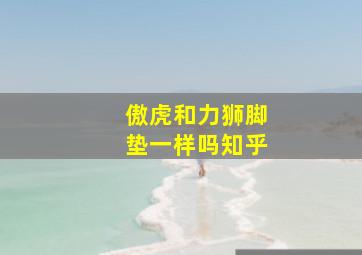 傲虎和力狮脚垫一样吗知乎