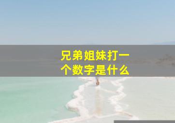 兄弟姐妹打一个数字是什么