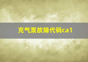 充气泵故障代码ca1