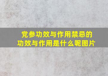 党参功效与作用禁忌的功效与作用是什么呢图片