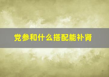 党参和什么搭配能补肾