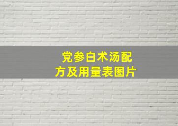 党参白术汤配方及用量表图片