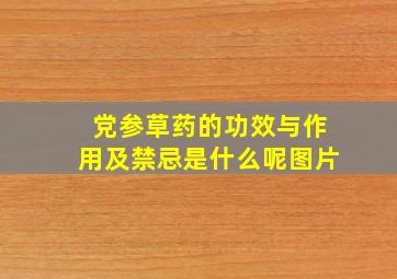 党参草药的功效与作用及禁忌是什么呢图片